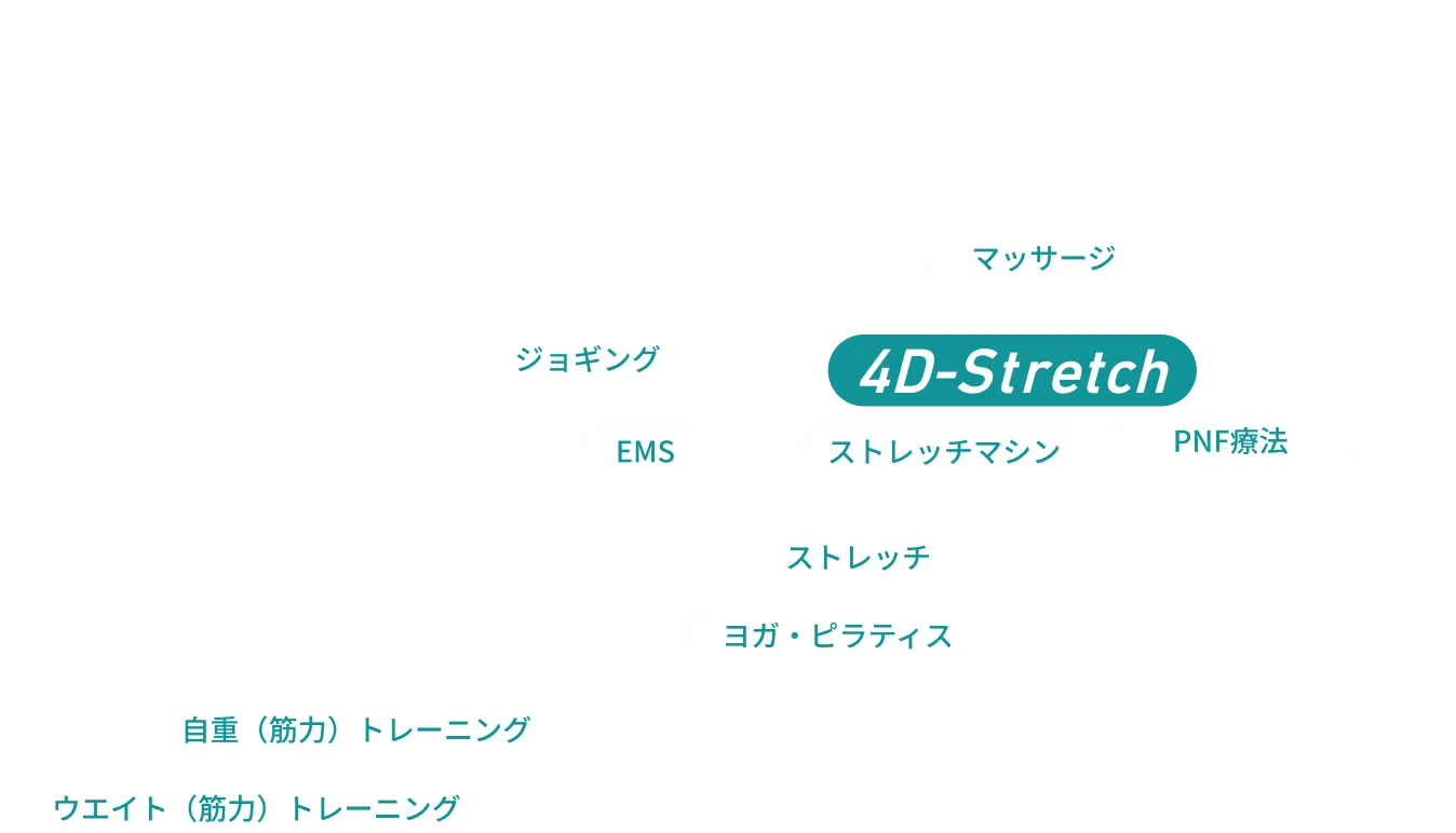 4D-Stretch図